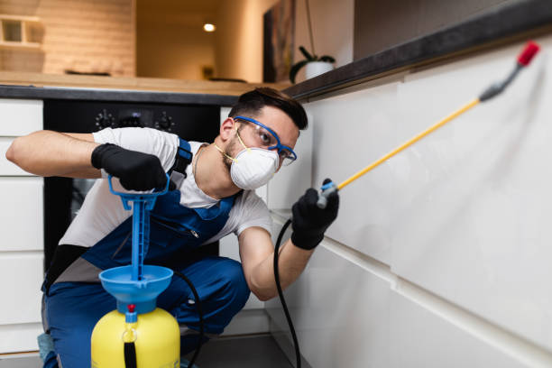Trusted Thiensville, WI Pest Control Experts
