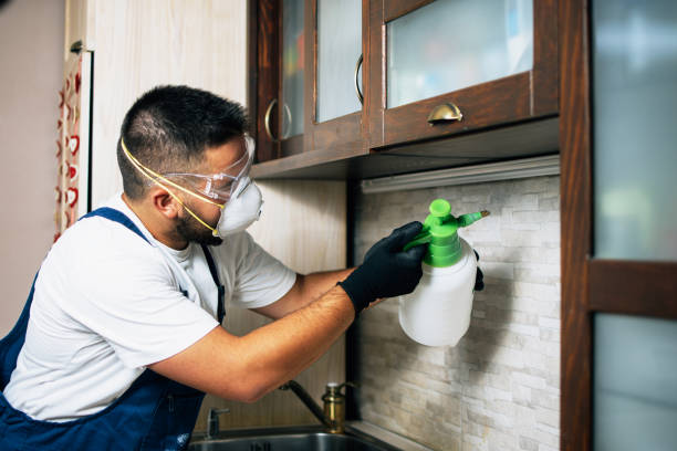 Best Local Pest Control Services  in Thiensville, WI