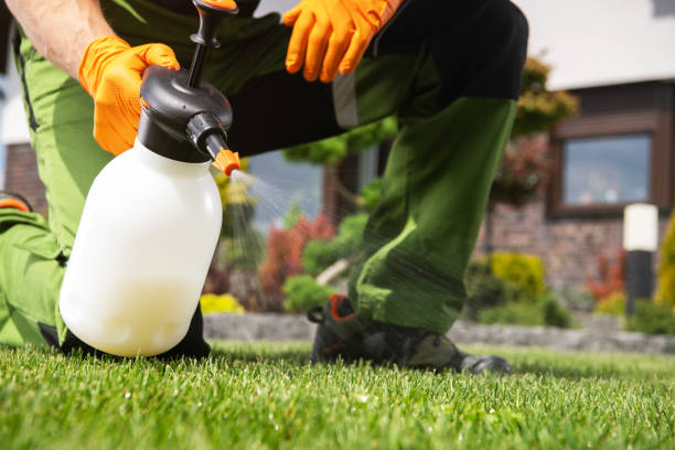 Best Best Pest Control Companies  in Thiensville, WI