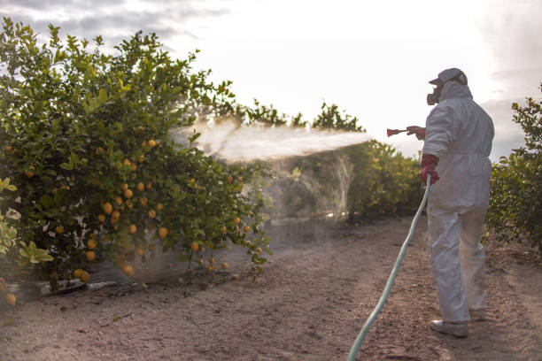 Best Flea Control Services  in Thiensville, WI