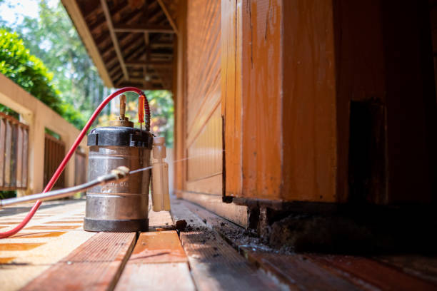 Best Wasp Removal Services  in Thiensville, WI