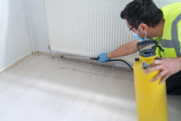 Best Best Pest Control Companies  in Thiensville, WI