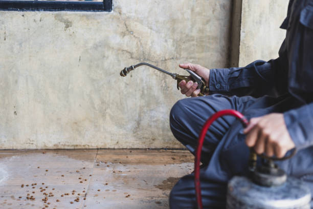 Best Affordable Pest Control Services  in Thiensville, WI